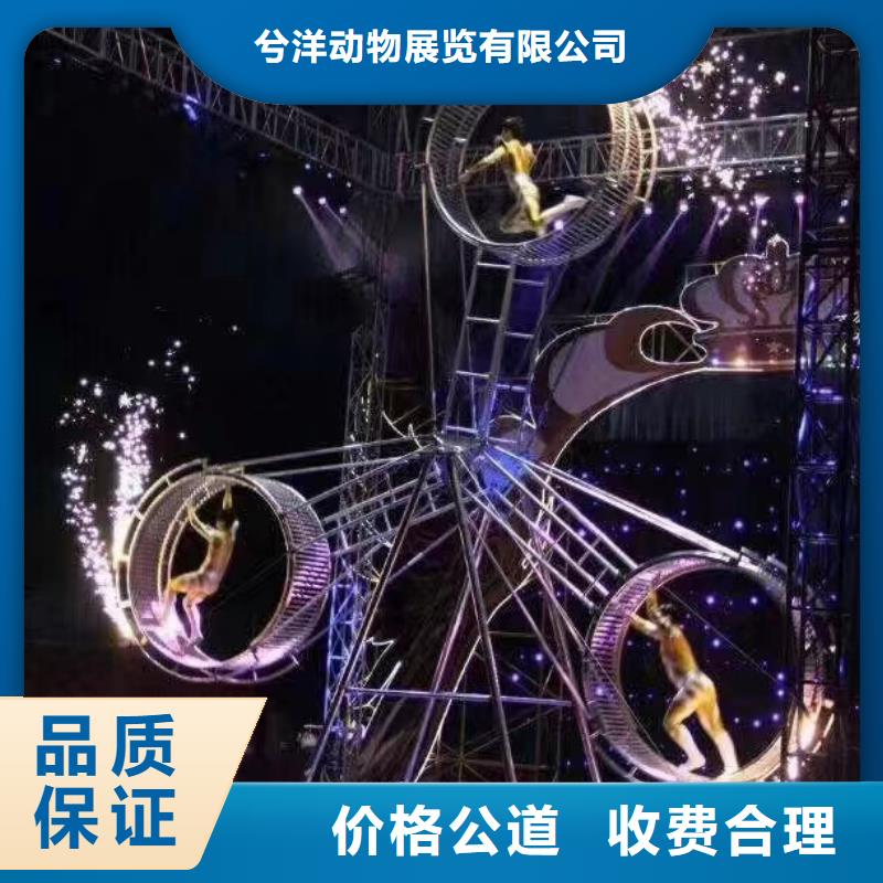 馬戲團/羊駝海洋展租賃質(zhì)量保證