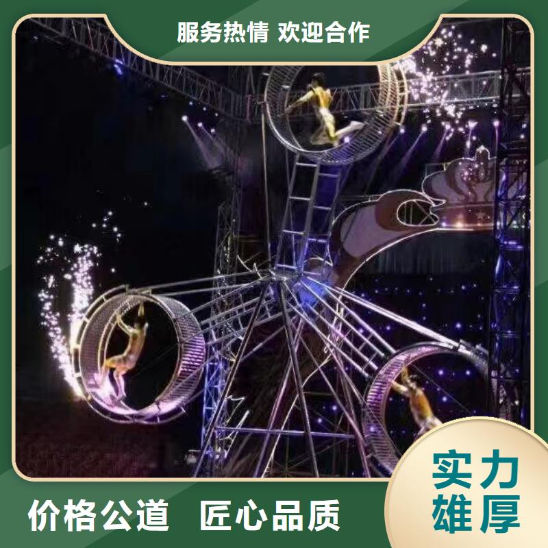 馬戲團(tuán)/羊駝海獅表演出租專(zhuān)業(yè)公司