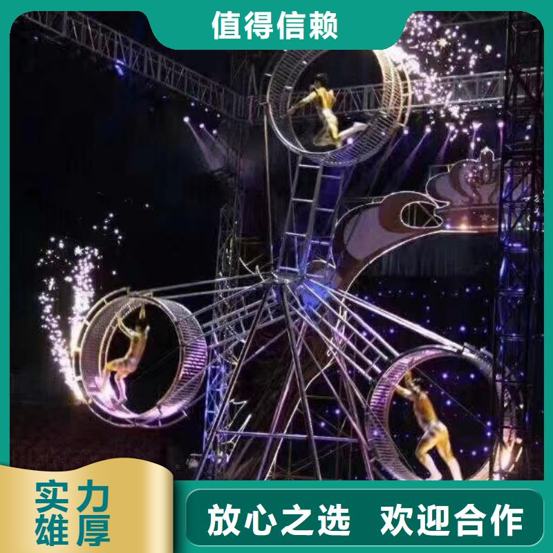 馬戲團/羊駝動物雜技表演租賃價格美麗
