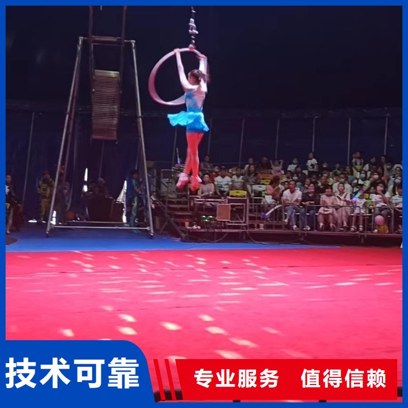 马戏团/羊驼 羊驼出租优质服务