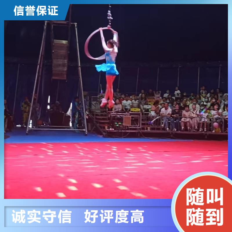 【馬戲團(tuán)/羊駝 死輪表演口碑公司】