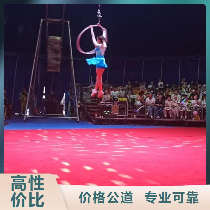 马戏团/羊驼_小马戏表演出租高品质