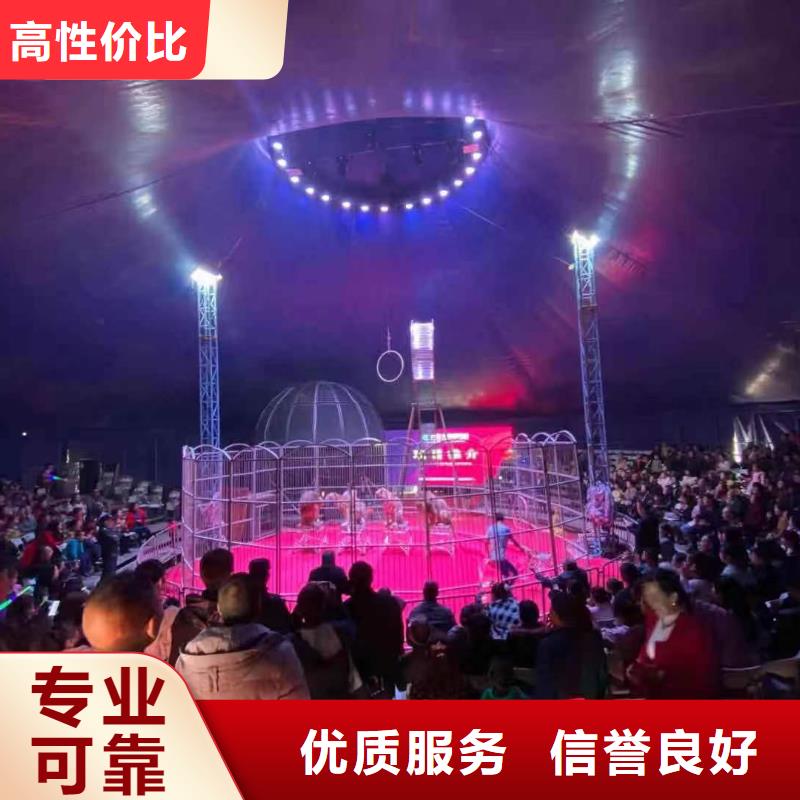 【馬戲團(tuán)/羊駝】海獅表演出租匠心品質(zhì)