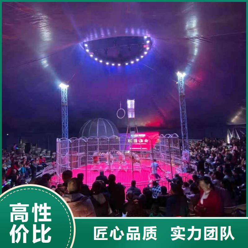 馬戲團(tuán)/羊駝草泥馬羊駝租賃遵守合同