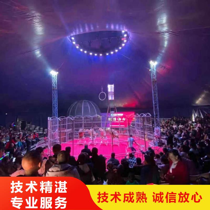 馬戲團(tuán)/羊駝表演動(dòng)物出租技術(shù)精湛