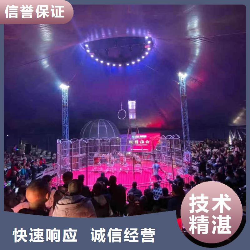 馬戲團(tuán)/羊駝企鵝租賃歡迎詢價(jià)