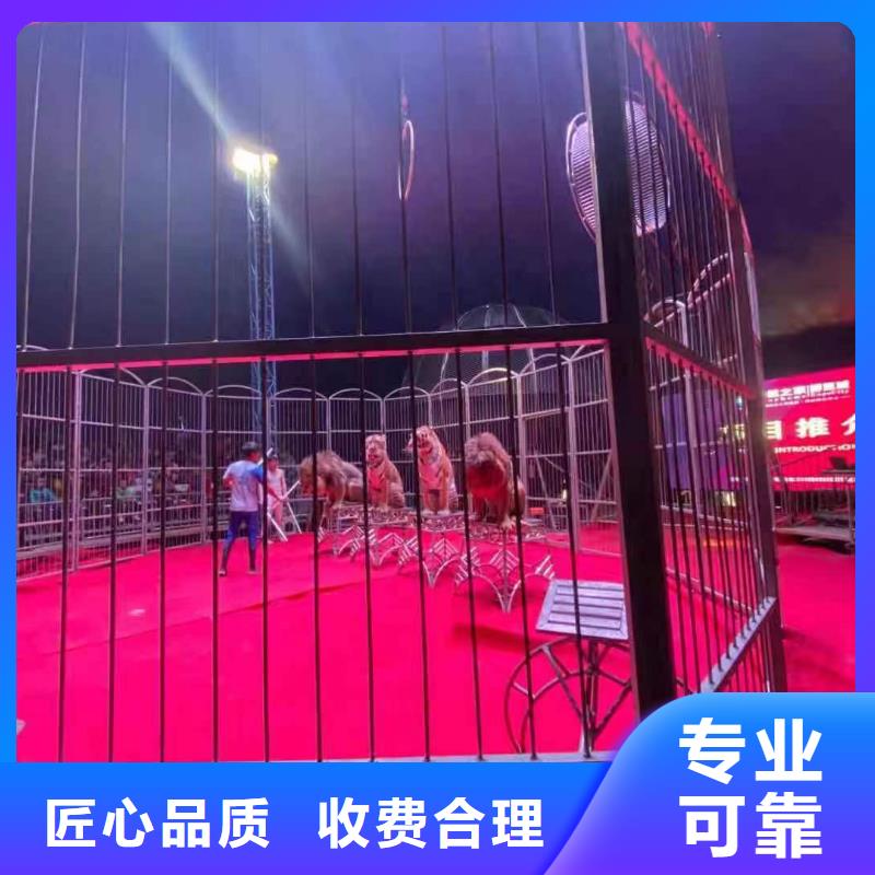馬戲團(tuán)/羊駝【出租企鵝表演】2025公司