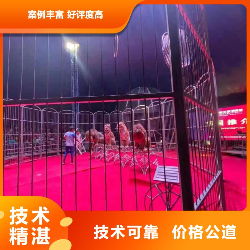 马戏团/羊驼-动物杂技表演2025专业的团队