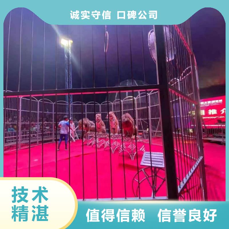 馬戲團/羊駝動物表演口碑公司