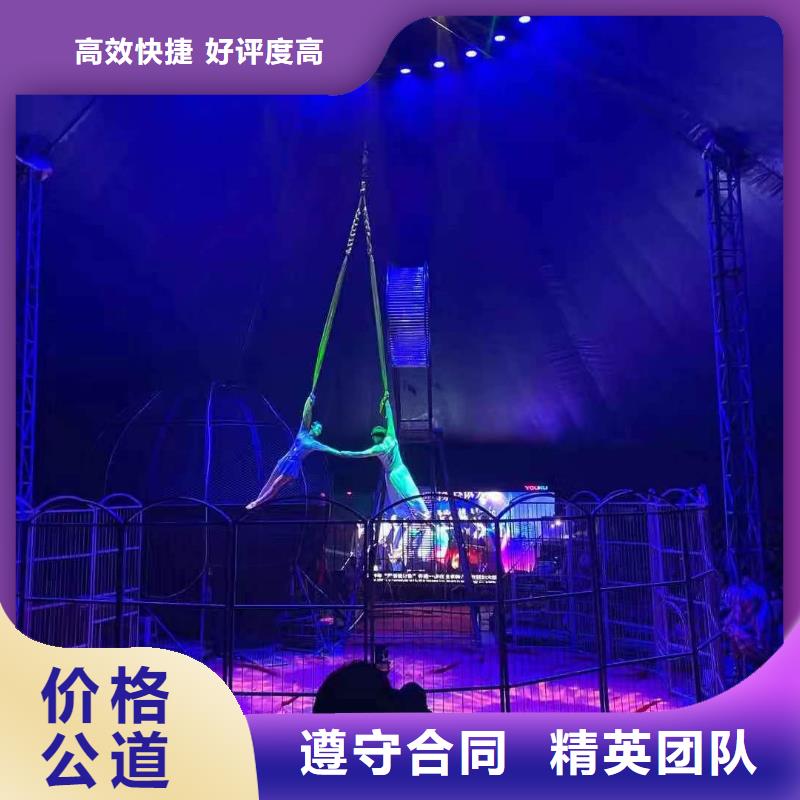 马戏团/羊驼-美人鱼表演技术好