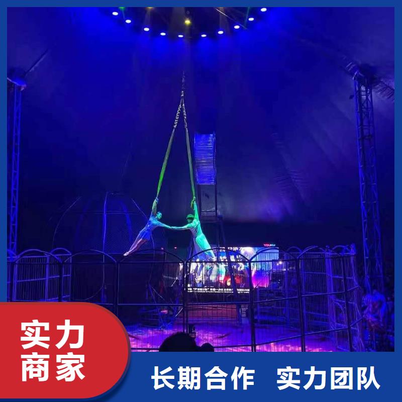 馬戲團/羊駝出租羊駝知名公司