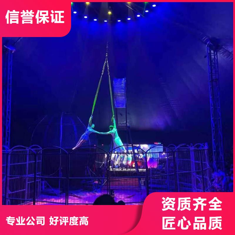馬戲團(tuán)/羊駝,鸚鵡表演出租服務(wù)至上