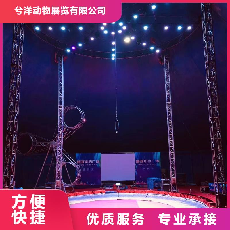 馬戲團(tuán)/羊駝 出租企鵝收費(fèi)合理