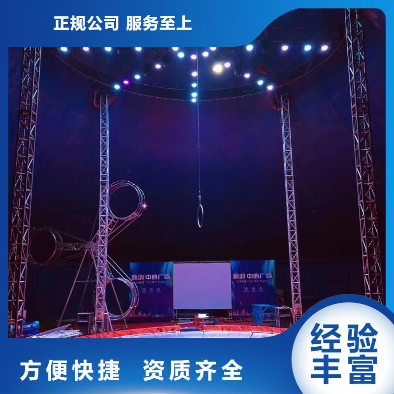 马戏团/羊驼 羊驼出租优质服务