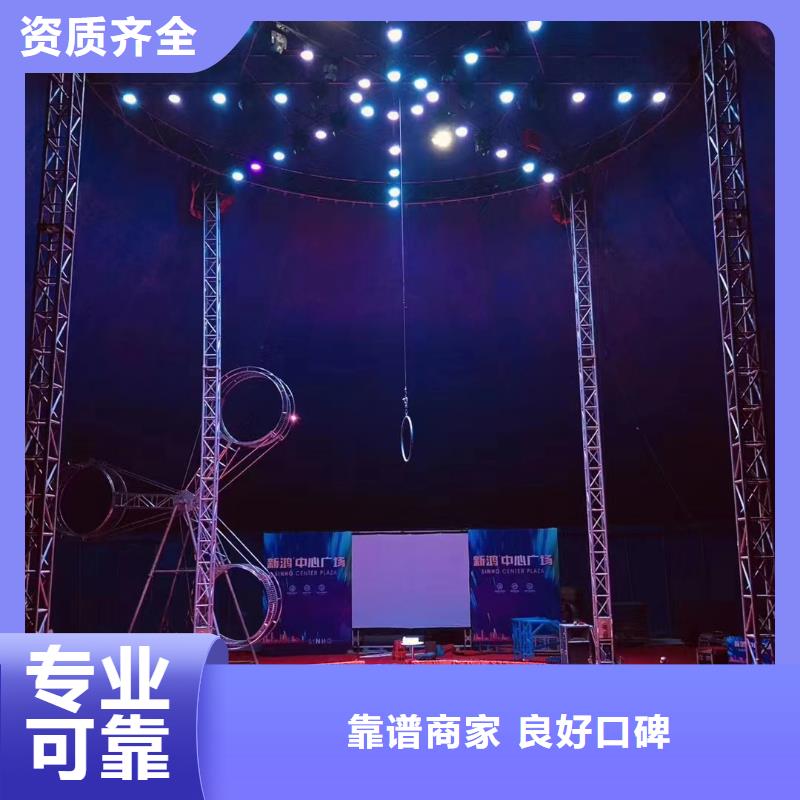 馬戲團(tuán)/羊駝馬戲團(tuán)表演收費(fèi)合理