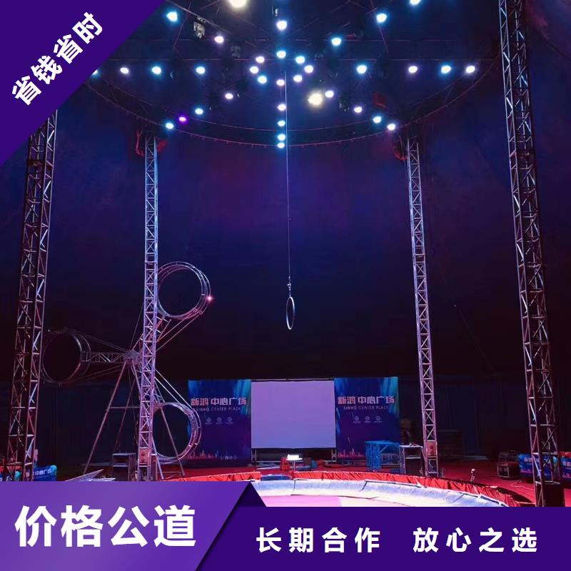 【馬戲團/羊駝】_【活體羊駝租賃】值得信賴