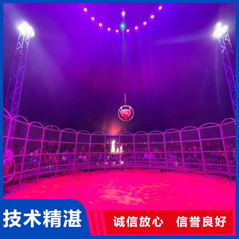 馬戲團(tuán)/羊駝表演羊駝租賃誠(chéng)信放心
