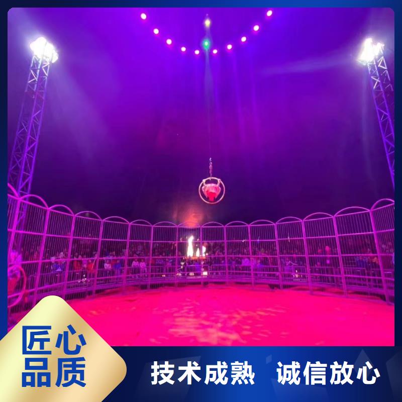 馬戲團/羊駝海獅表演出租實力公司