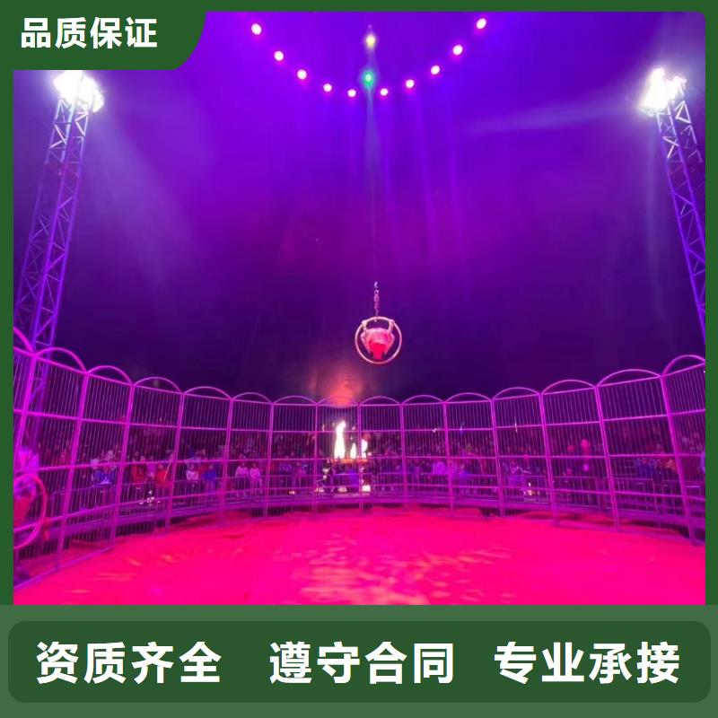 马戏团/羊驼马戏团表演出租租赁靠谱商家