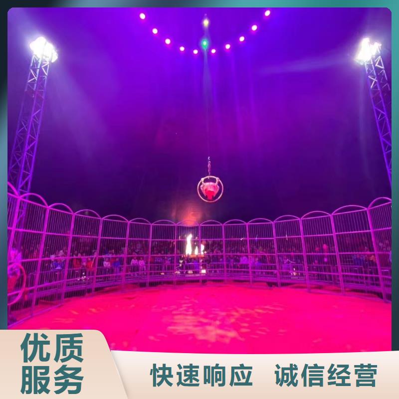 馬戲團/羊駝馬戲團表演收費合理