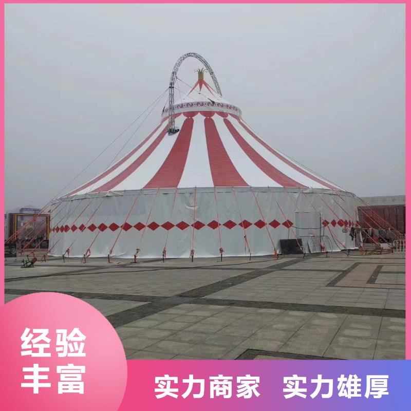 马戏团/羊驼吉祥百鸟展好评度高
