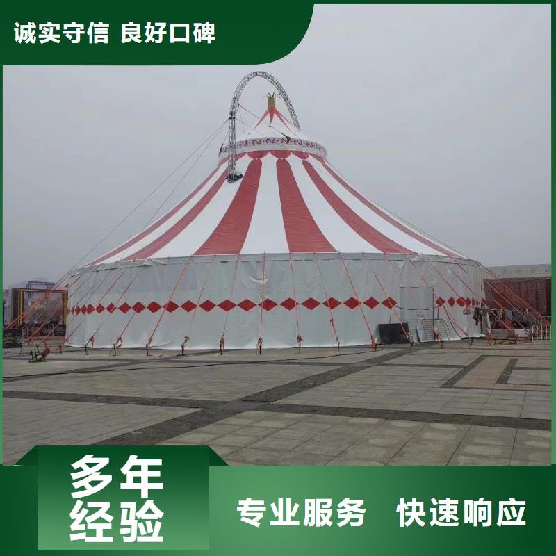馬戲團(tuán)/羊駝馬戲團(tuán)表演有實(shí)力