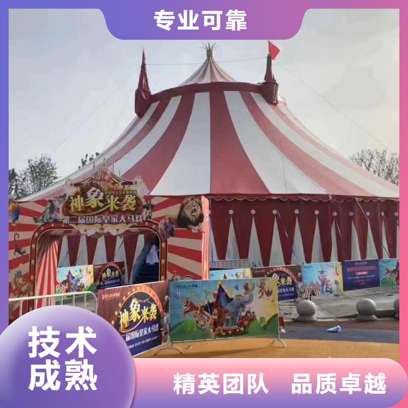 马戏团/羊驼_马戏团表演值得信赖