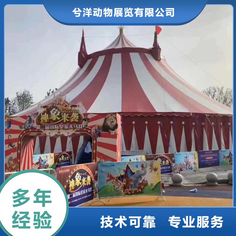 馬戲團(tuán)/羊駝【海獅表演出租】誠信