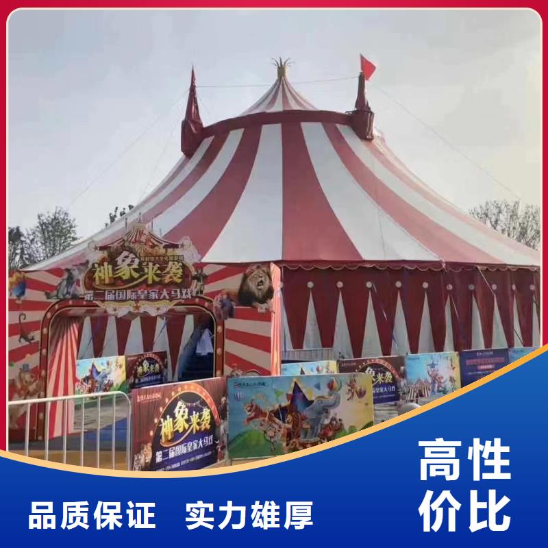 马戏团/羊驼企鹅出租齐全