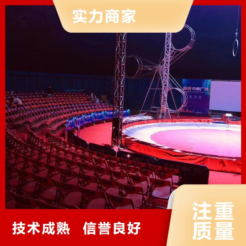 馬戲團(tuán)/羊駝馬戲團(tuán)表演收費(fèi)合理