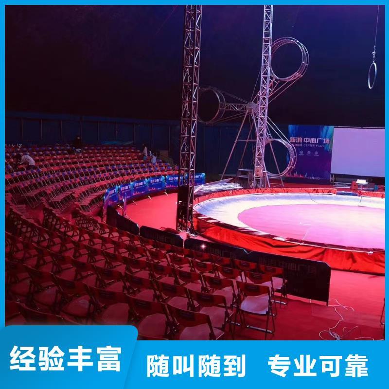 馬戲團(tuán)/羊駝動(dòng)物表演省錢(qián)省時(shí)