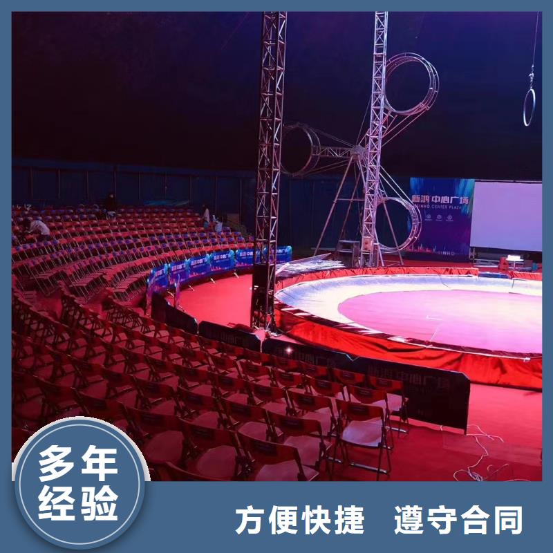 马戏团/羊驼表演羊驼租赁品质服务