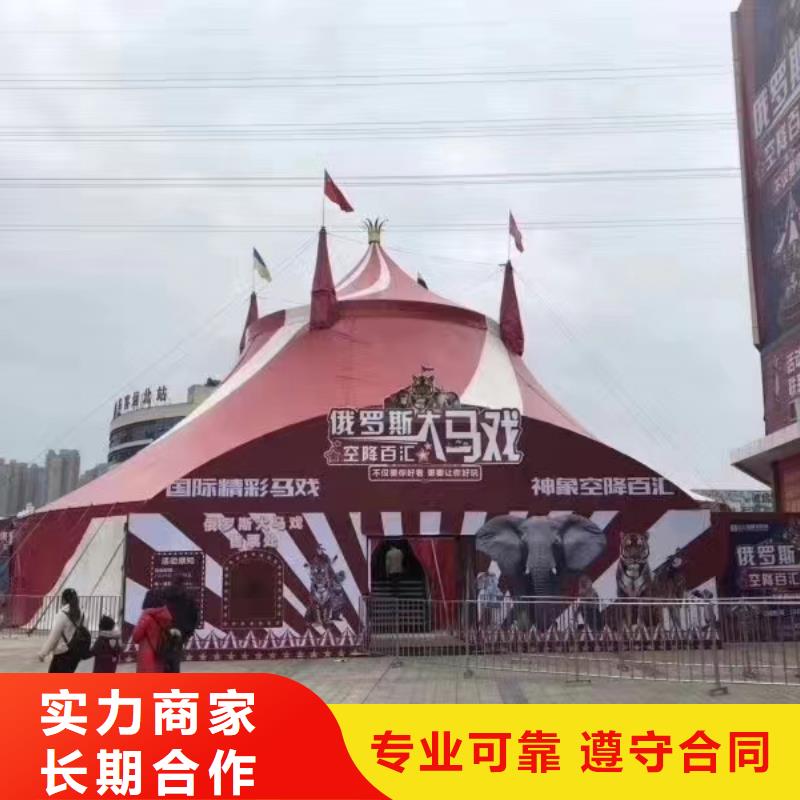 馬戲團(tuán)/羊駝表演羊駝租賃誠(chéng)信放心