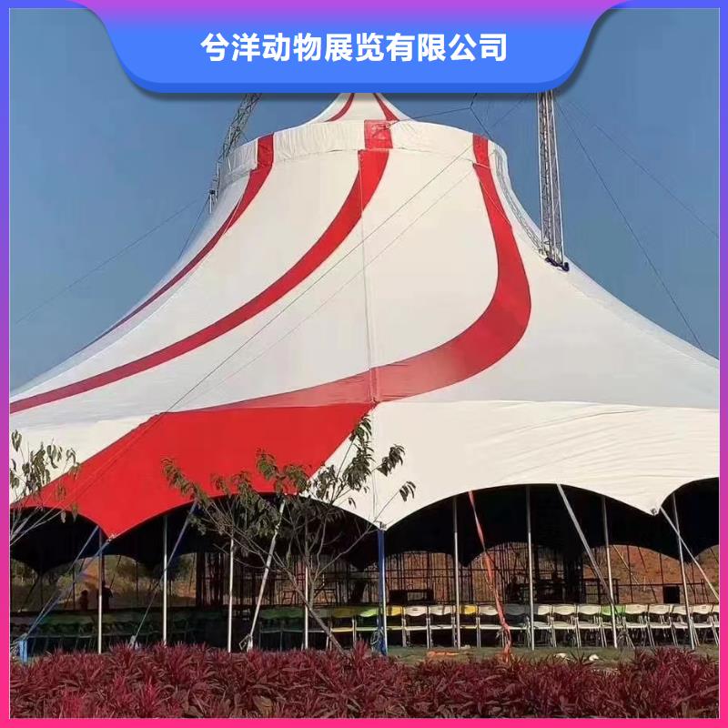 馬戲團(tuán)/羊駝,動(dòng)物雜技表演服務(wù)周到