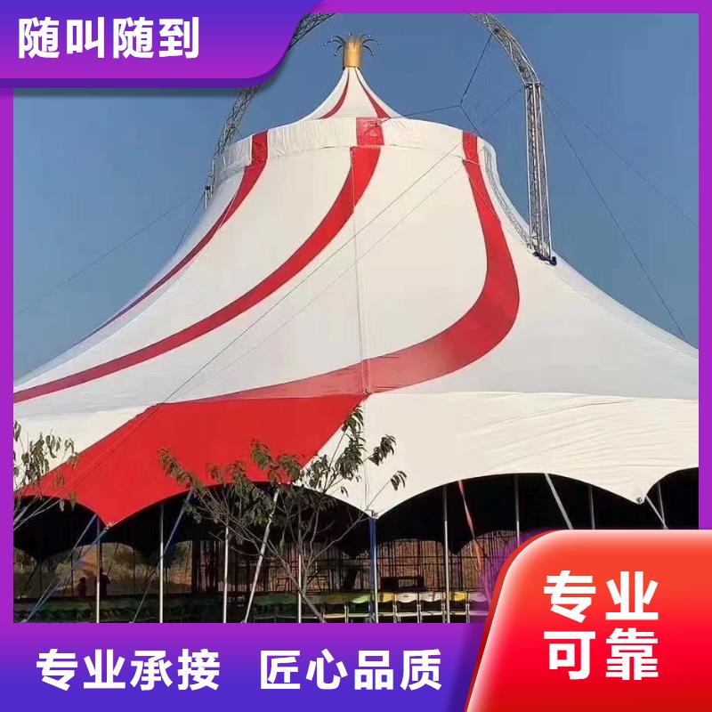 馬戲團(tuán)/羊駝出租表演海獅2025公司