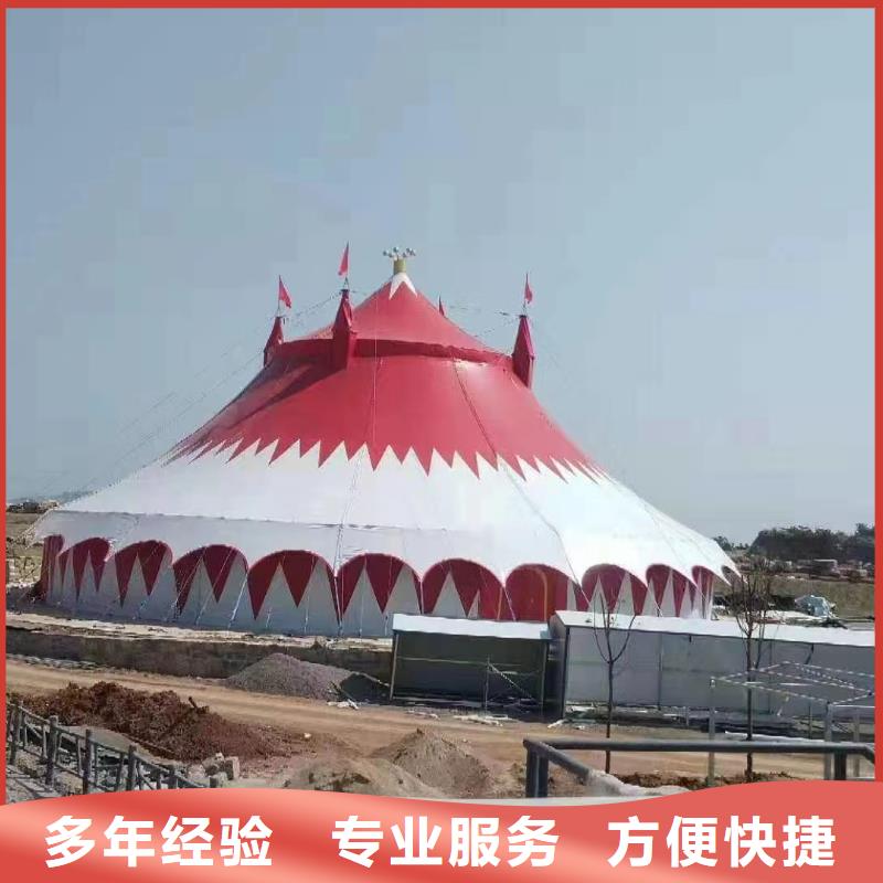 馬戲團/羊駝草泥馬羊駝租賃一站搞定