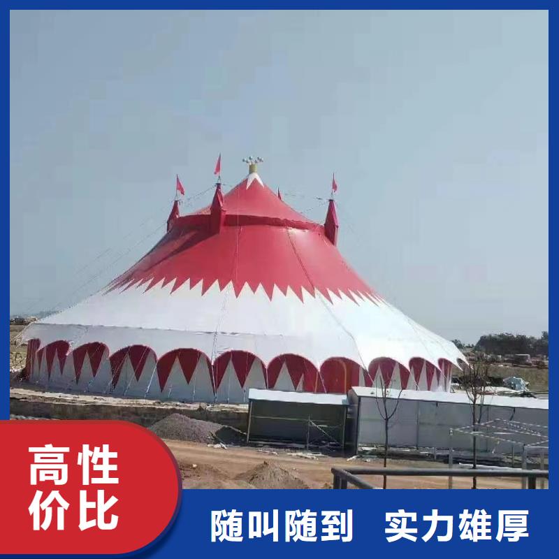 马戏团/羊驼出租表演萌宠专业可靠