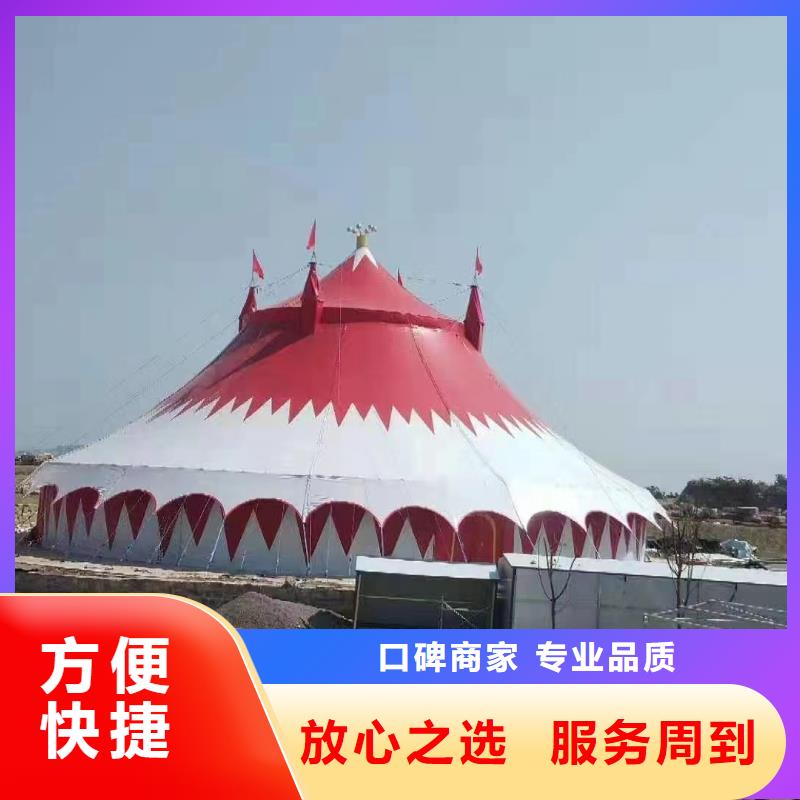馬戲團(tuán)/羊駝【企鵝租賃】正規(guī)