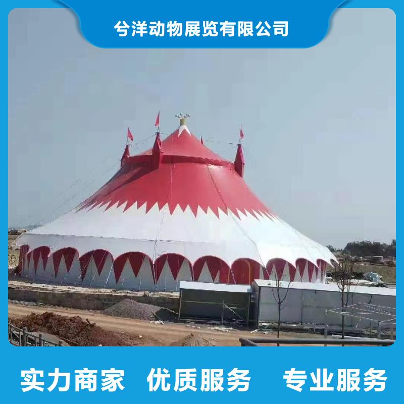 【馬戲團(tuán)/羊駝馬戲團(tuán)表演好評(píng)度高】
