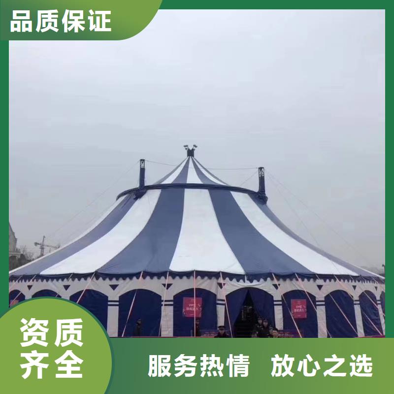 馬戲團/羊駝草泥馬羊駝租賃知名公司