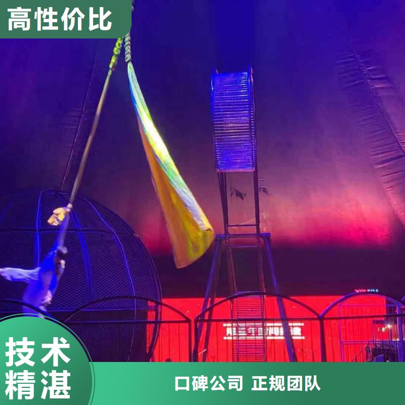马戏团/羊驼,商场马戏表演出租专业
