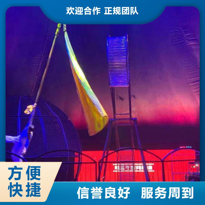 馬戲團(tuán)/羊駝草泥馬羊駝租賃技術(shù)好