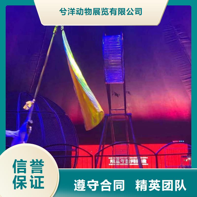 馬戲團(tuán)/羊駝馬戲團(tuán)出租 誠(chéng)信