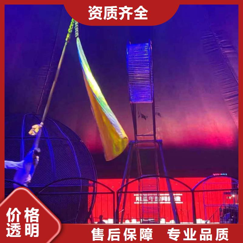马戏团/羊驼海狮表演出租价格美丽