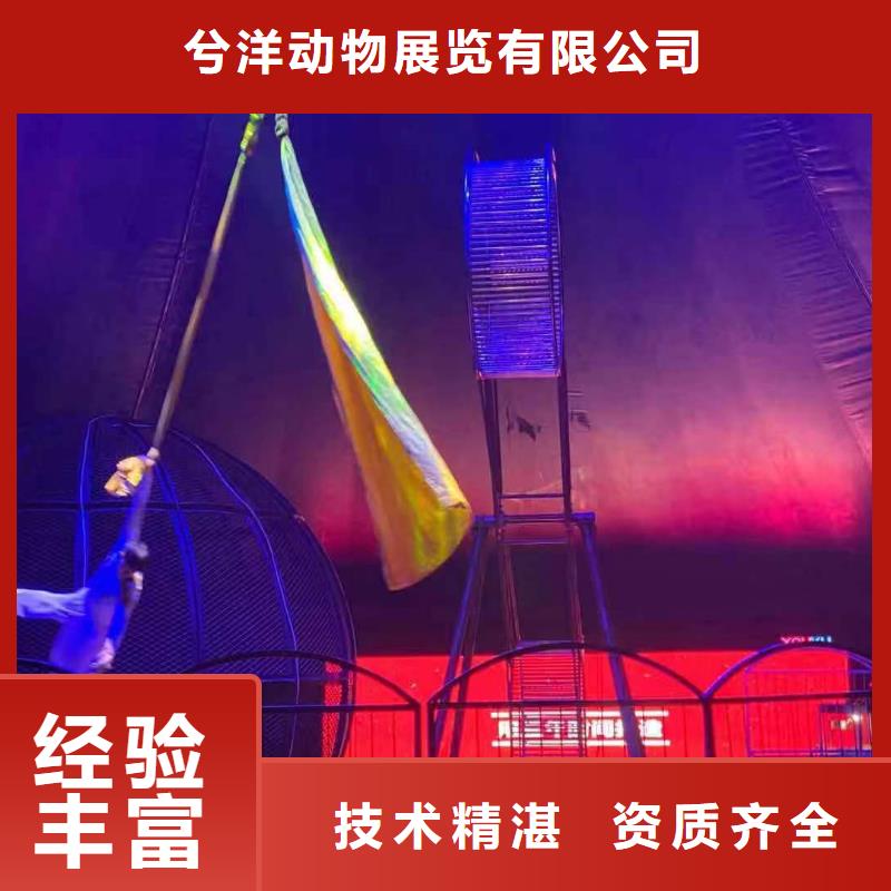 【馬戲團/羊駝】【企鵝表演出租】價格低于同行