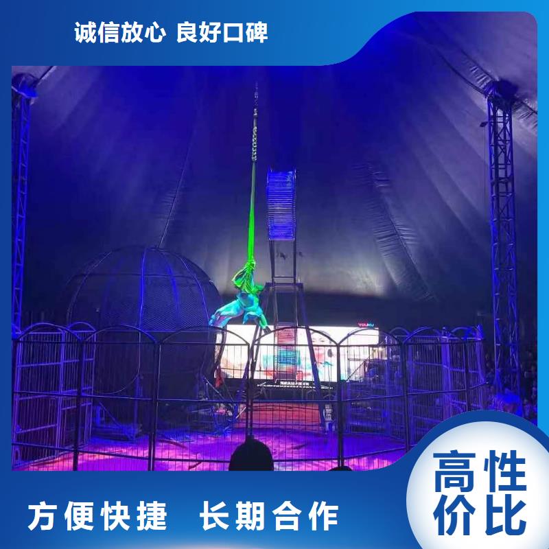 馬戲團(tuán)/羊駝鸚鵡表演租賃經(jīng)驗豐富