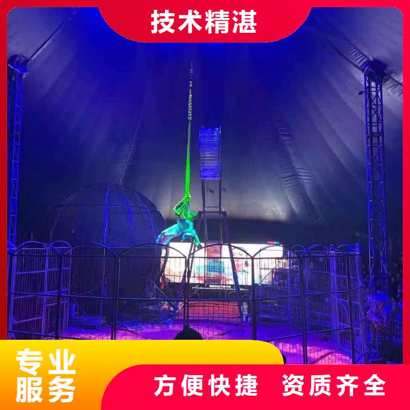 馬戲團/羊駝-鸚鵡表演實力商家