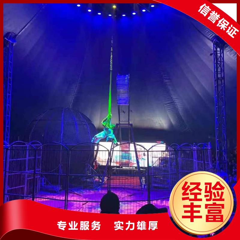 马戏团/羊驼海洋展租赁专业
