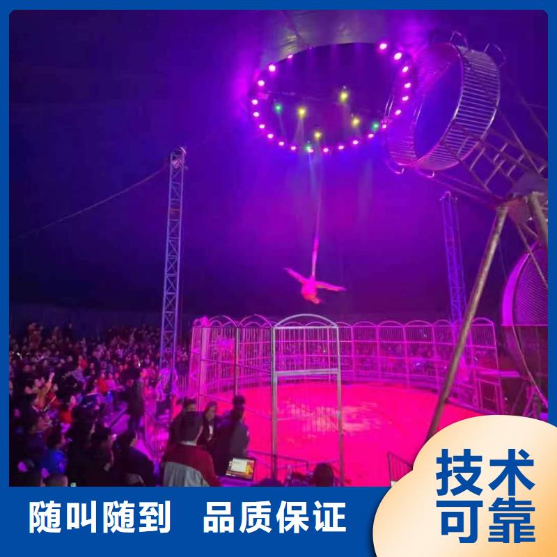馬戲團(tuán)/羊駝,美人魚表演出租專業(yè)品質(zhì)