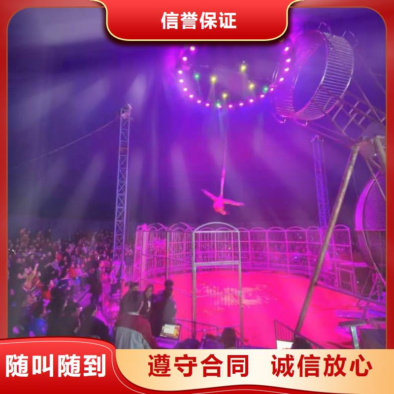 馬戲團(tuán)/羊駝表演動(dòng)物出租技術(shù)精湛